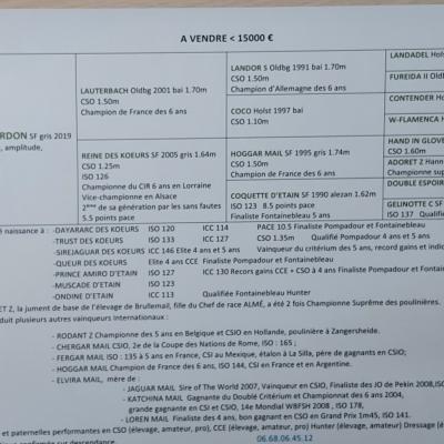 JARVIS DU CHARDON 