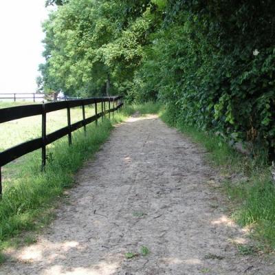 Chemin menant à la carrière