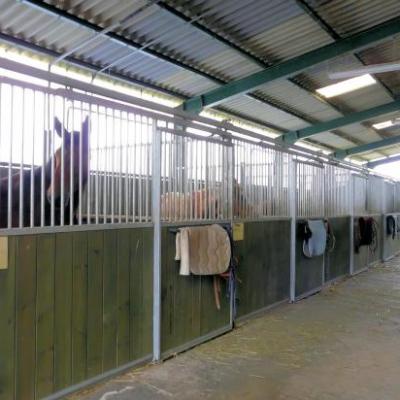 Ecurie lumineuse avec abreuvoirs hors gel.