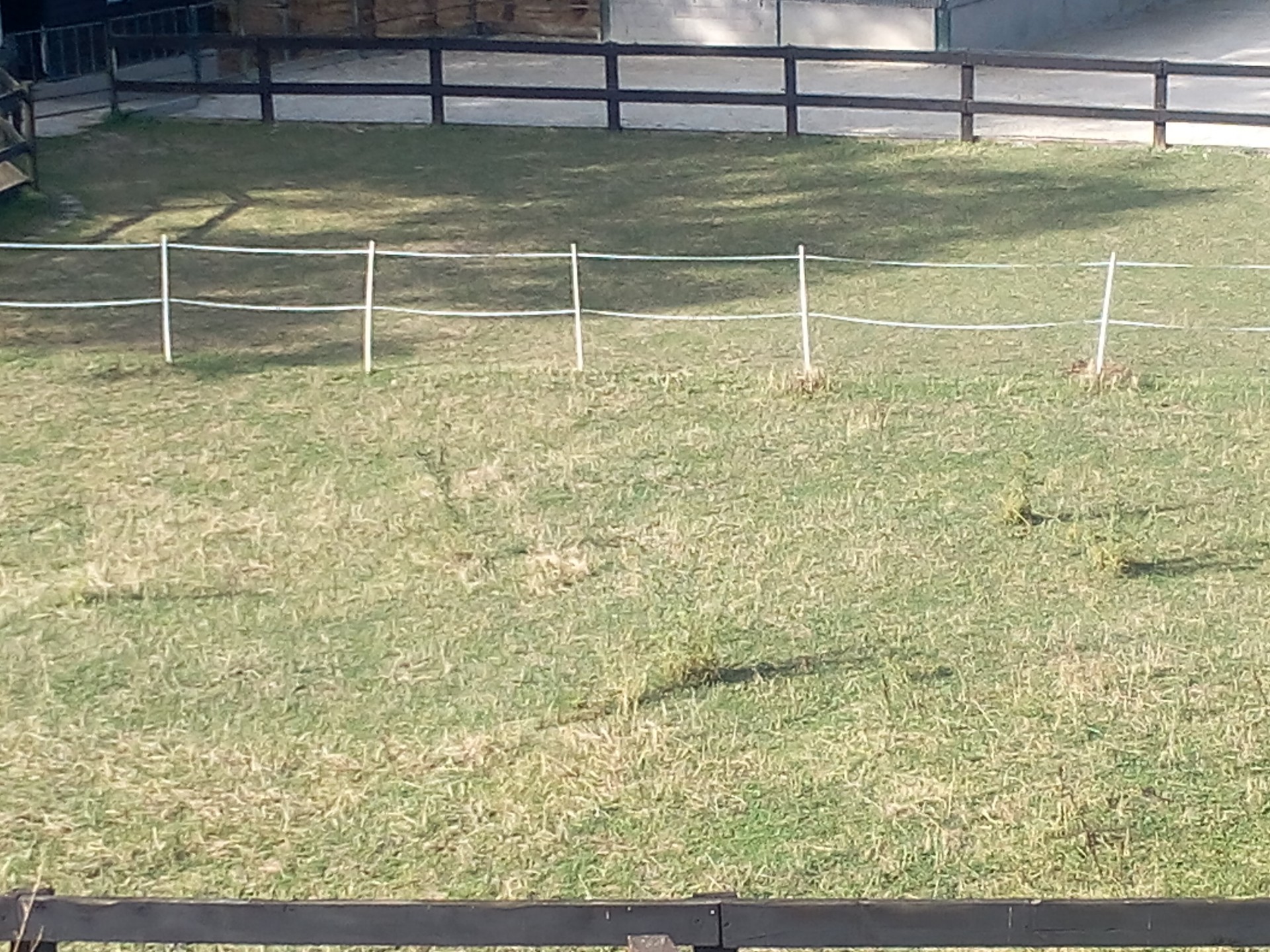 Paddocks herbe et sable